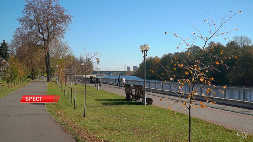 40 гражданских инициатив реализовали в Бресте