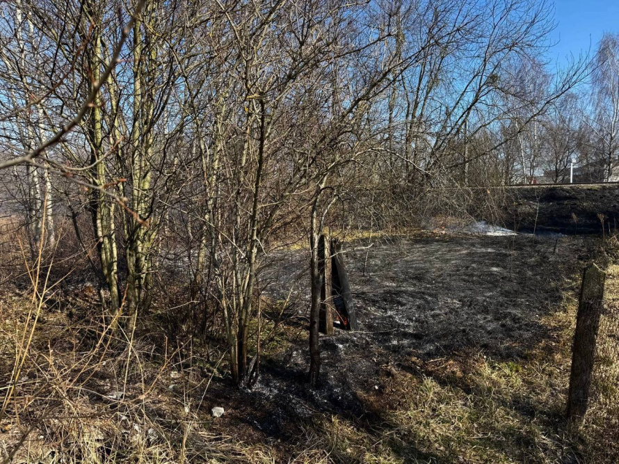 В этом году на территории города Бреста уже зафиксировано 6 случаев загораний в экосистемах. Для сравнения, в аналогичном периоде прошлого года их было 13. Это говорит о том, что ситуация улучшается, но расслабляться не стоит!