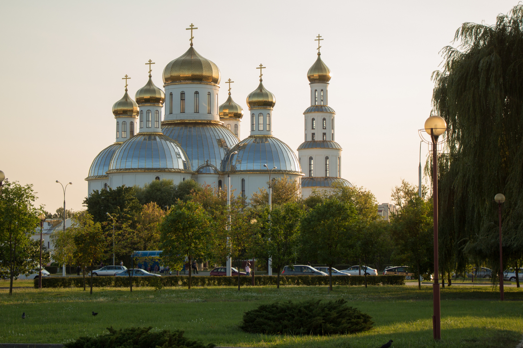 Ботанический сад